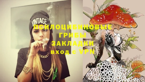 индика Заволжск